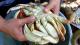 How To Clean And Crack Hard-shell Crab